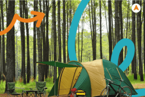 Jasa Tour Camping Hutan Pinus Jogja