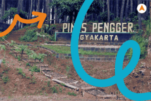 Jasa Tour Privat Pinus Pengger Jogja