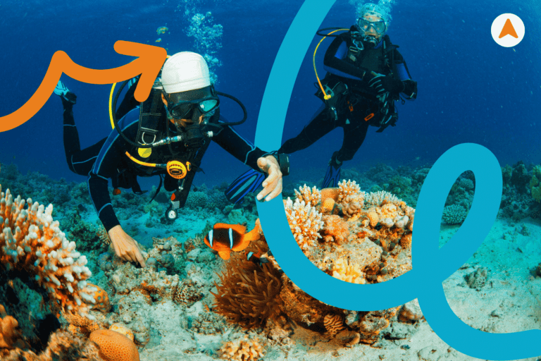 Jasa Tour Snorkeling Jogja