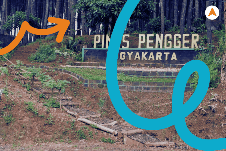 Jasa Tour Trekking Hutan Pinus Pengger Jogja