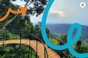 Jasa Tour Wisata Hiking Hutan Pinus Pengger Jogja