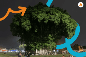 Jasa Tour Wisata Malam Alun Alun Kidul Jogja