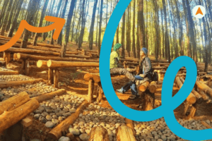 Jasa Tour Spot Foto Hutan Pinus Mangunan Jogja