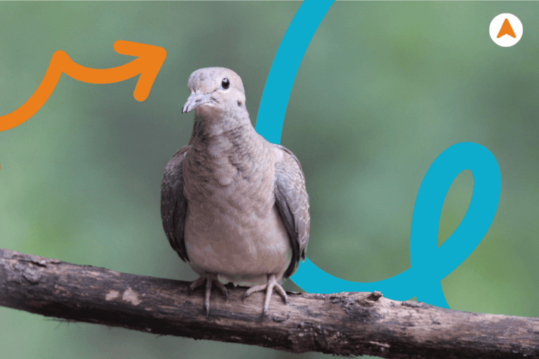 Jasa Tour Wisata Alam Edukasi Mengenal Fauna Khas Jogja