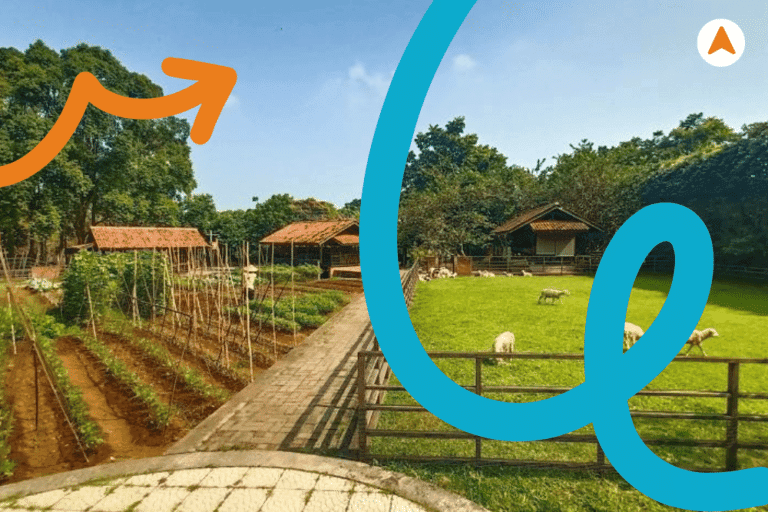 Edu Tour Pertanian Perkebunan Kuntum Farmfield–Bogor
