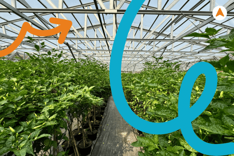 Edu Tour Pertanian Perkebunan Urban Farming Jakarta 1