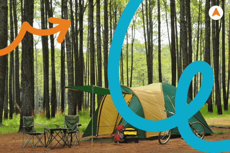 Jasa Camping di Hutan Pinus