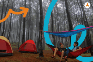 Jasa Camping di Hutan Pinus Mangunan