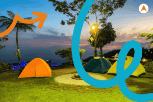 Jasa Camping di Hutan Pinus Nglinggo