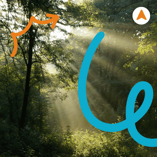 Cahaya Surga Pagi hingga Siang Hari​