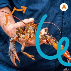 Spot Memancing Lobster​